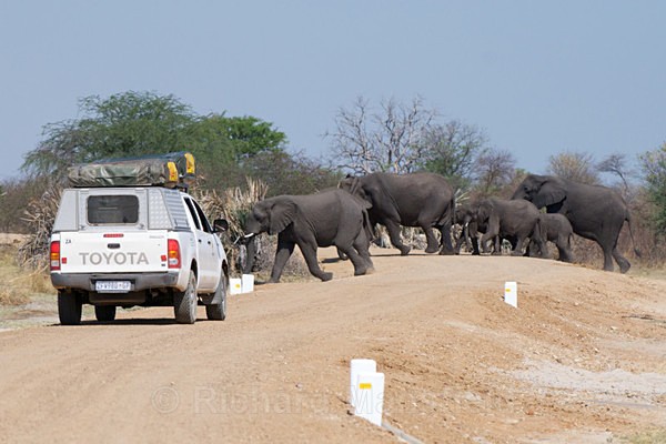  - African Journey