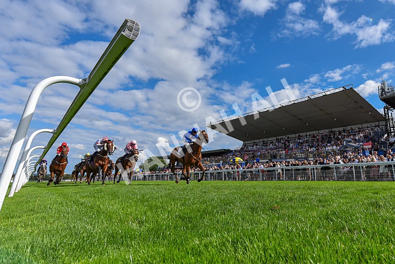 300826-Race 4-Financer-6636 - Race 4 3.20pm Ward Homes Yorkshire Handicap