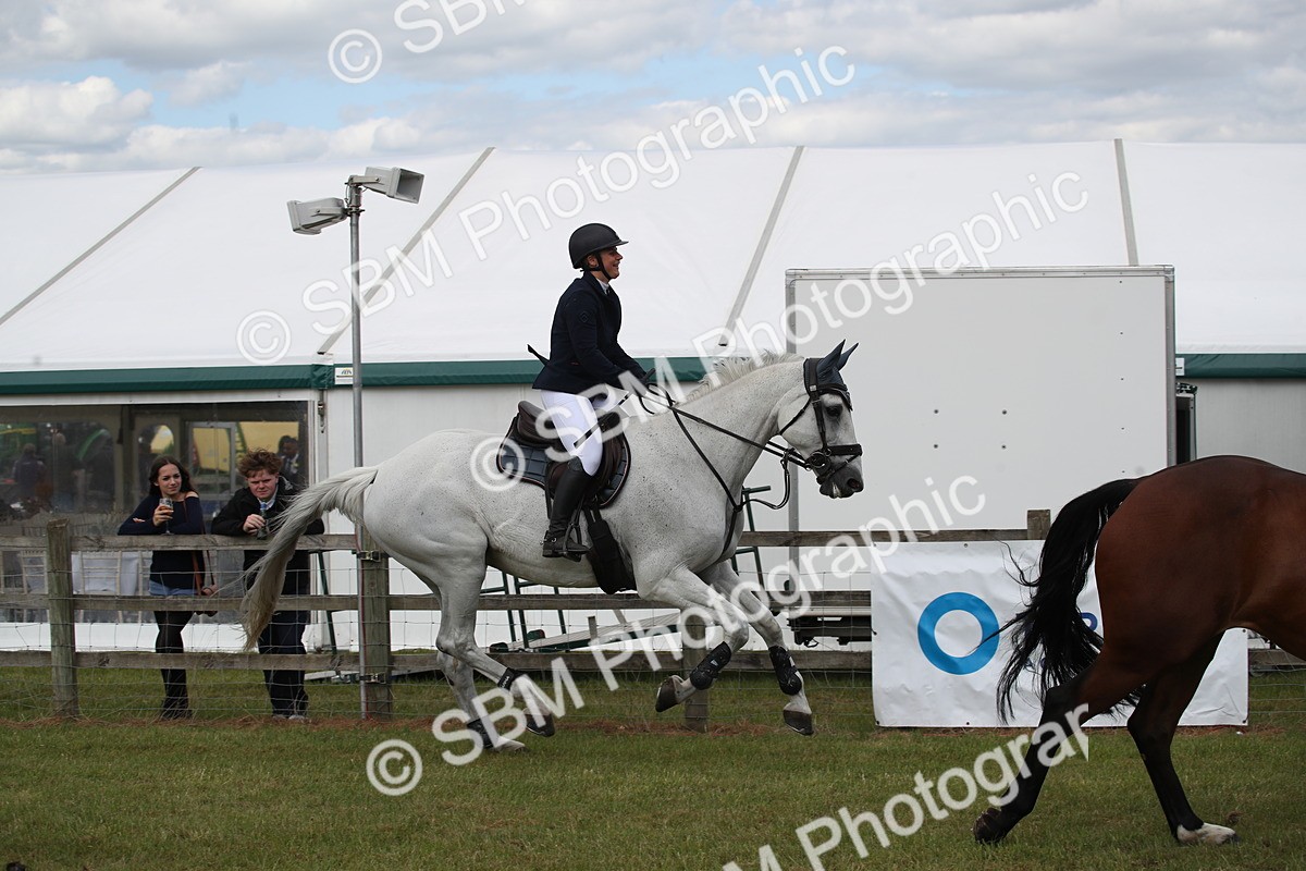 SBM_17563 - Class 208 - Senior Foxhunter 1.20m Open