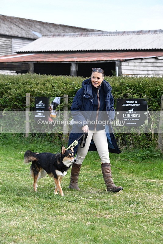 WJ5_0766 - Best in Show Championship