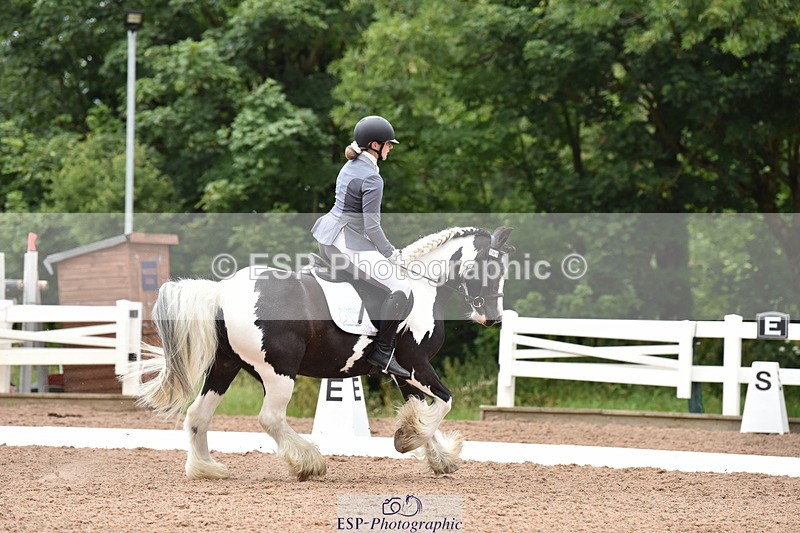 240706A-133306-02644 - Cls 4A Snr Novice 24