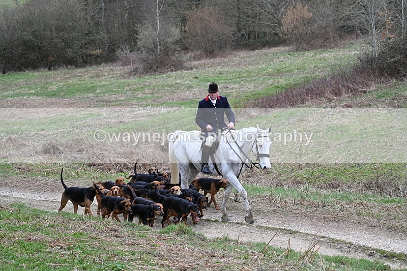 WJ7_7307 - Walk Home