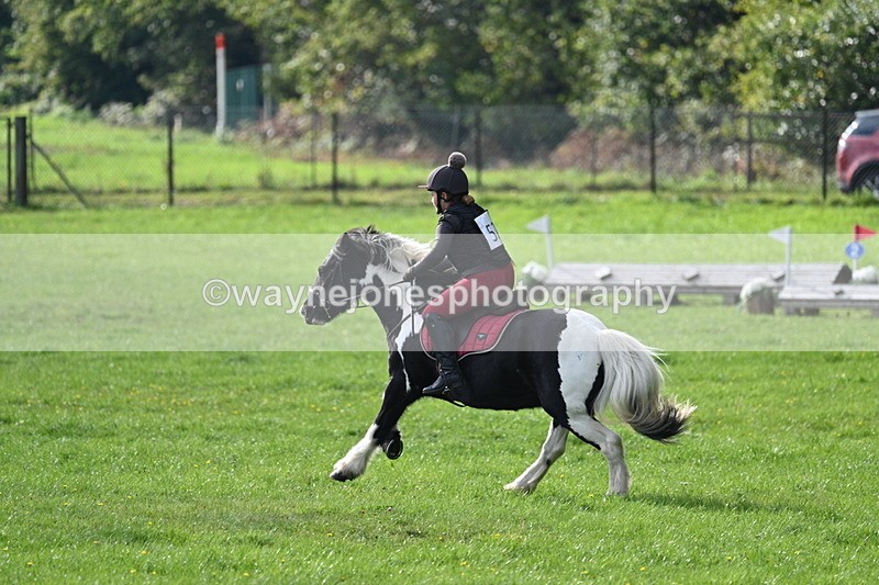 WJ7_3760 - 40cm Time 10:26 to 10:42