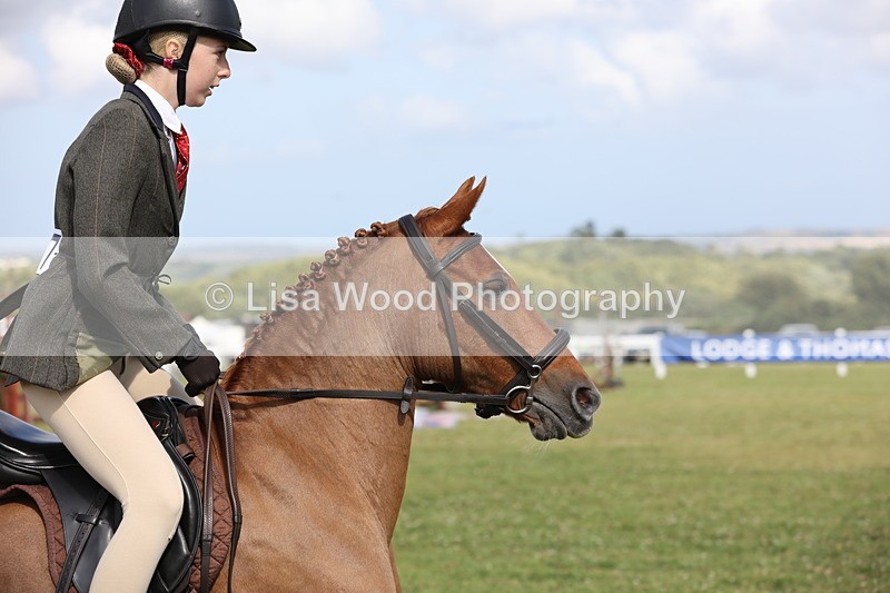 JPP_2721 - Class 20: Working Hunter 70cm