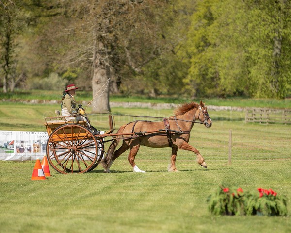 Attelage -670 - CIAT Glamis 2026