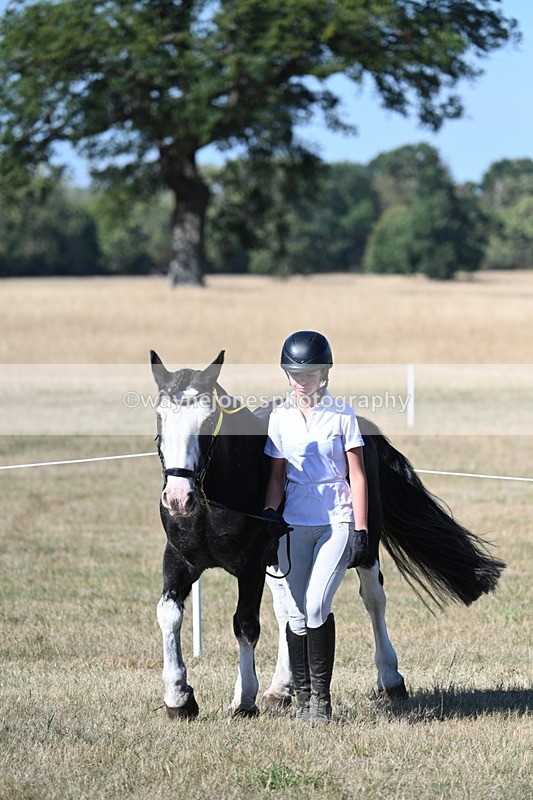 WJ7_1990 - Class 43 Best Six Legs (In hand)