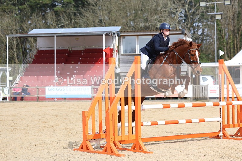 3E7A6868 - Class 4: Senior British Novice/90cm open