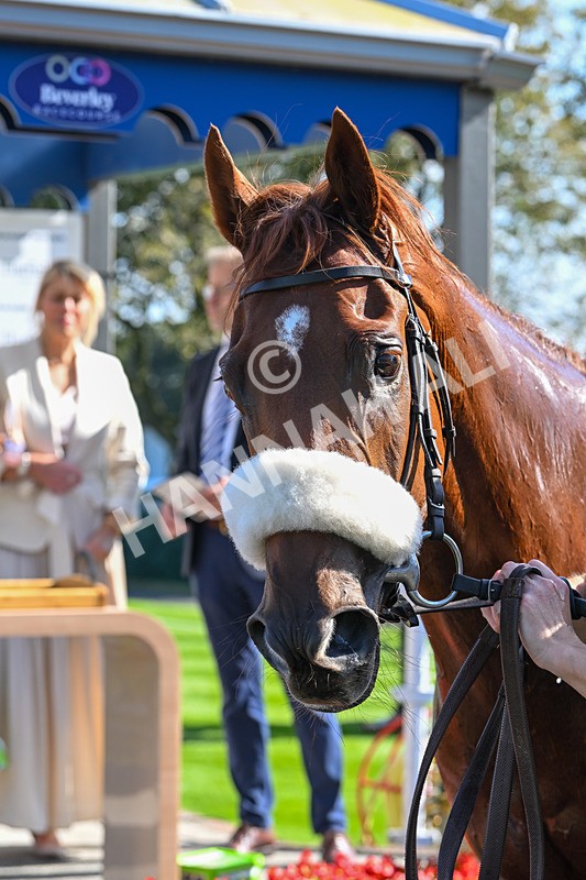 180924-Race 2-American Style-4057 - Race 2