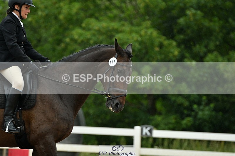 230630A-121415-01813 - Cls 7 Elementary 45