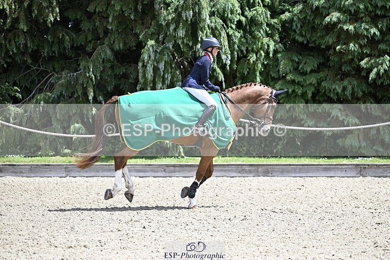 250525A-132013-17670 - Presentations Section B CCI 3 Star Long