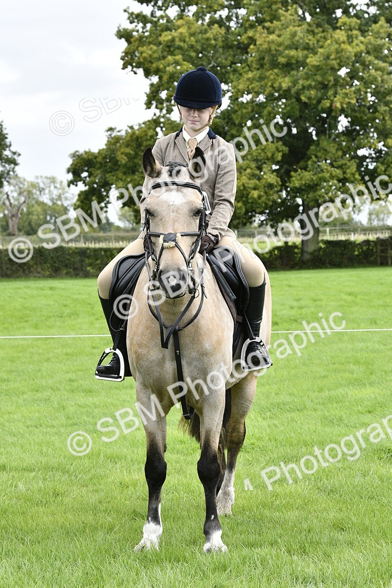 SBM_41626 - S32 - Mountain & Moorland Working Hunter Pony
