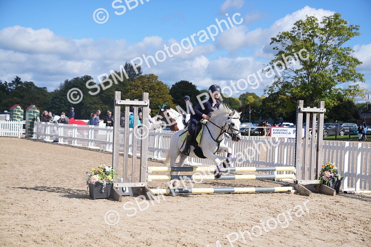 SBM_02505 - J54 Clear Round 45cm