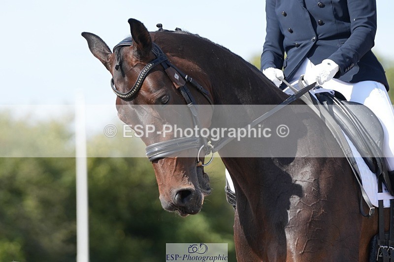 250906-150025-04622 - 053-Wendy.SavageFree.State