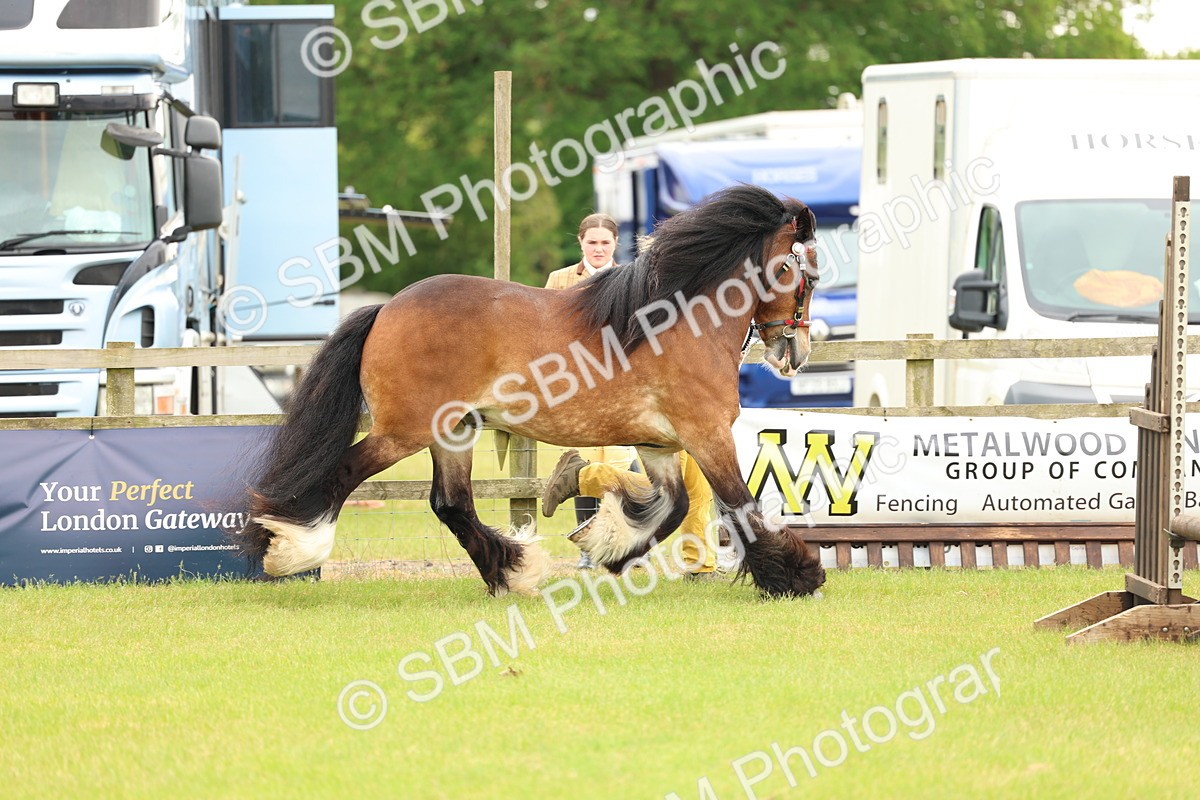 SBM_06361 - Class 39-41 TGCA In Hand and Ridden