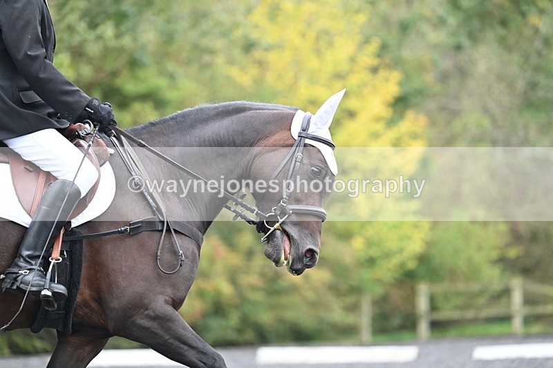 WJ7_3040 - Time 09:00 to 09:35