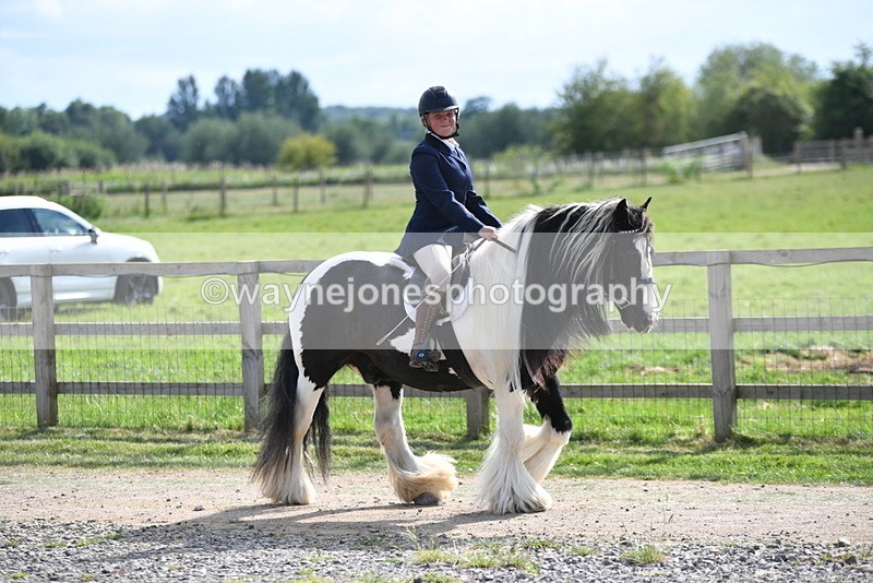 WJ5_7933 - Time 16:56 to 17:14