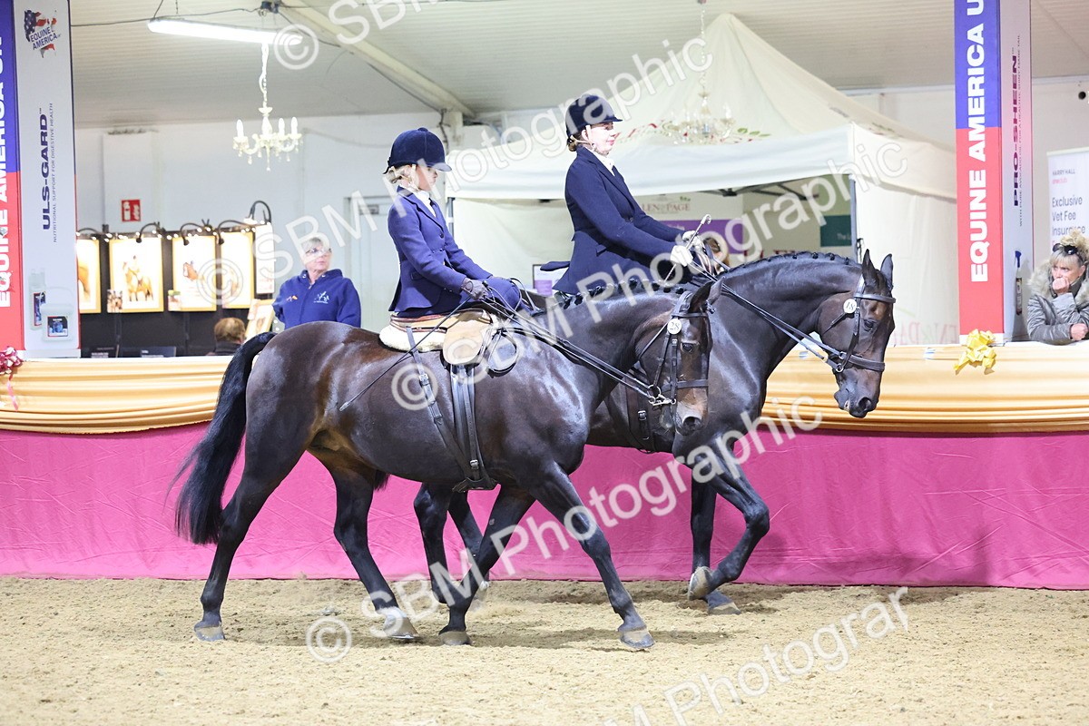 0B8A4317 - Class M Ridden Pairs Champ