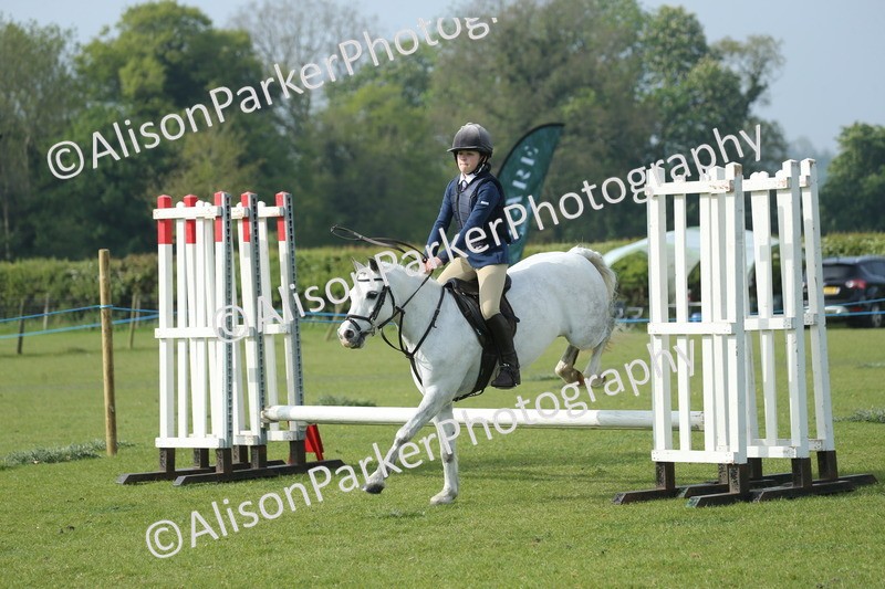 20260426-0111 - Class 13 - Rookie Jumping 50cm
