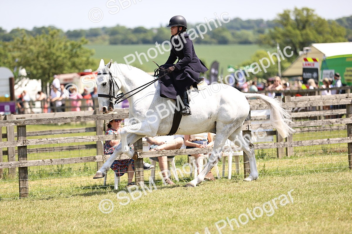 SBM_15104 - Class 79-80 - LIHS BSHA Rising Star Ridden Hunter