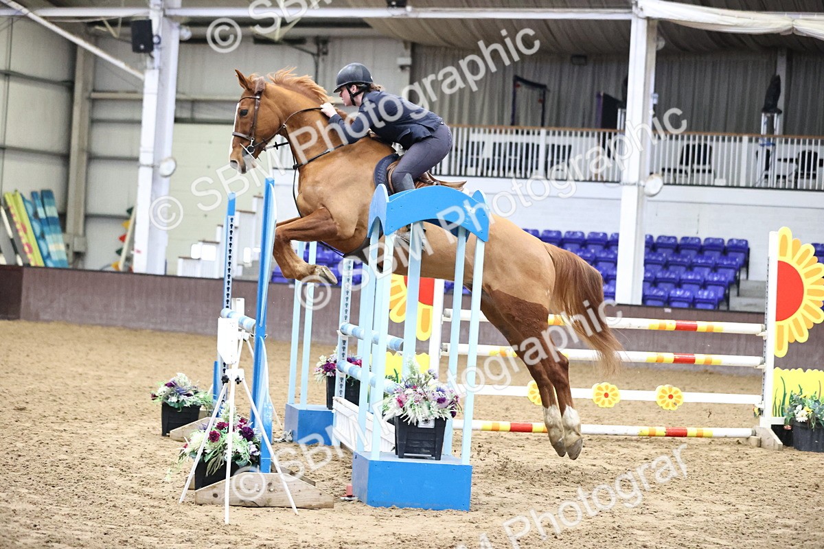 SBM_005381 - Class 17 - Senior Newcomers 1.10m