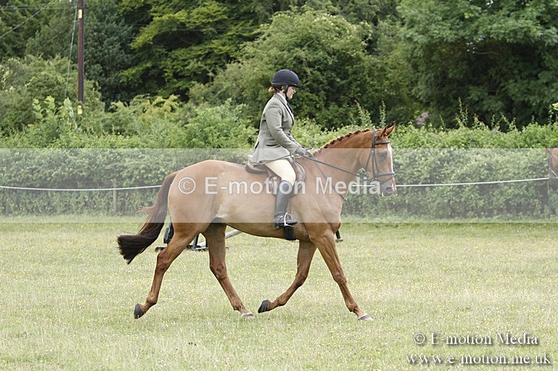 BVR160717-1782 - Ring 3 BVRC Show 16/07/17