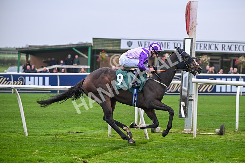 181025-Race 3-Secret Sonata-0502 - Race 3