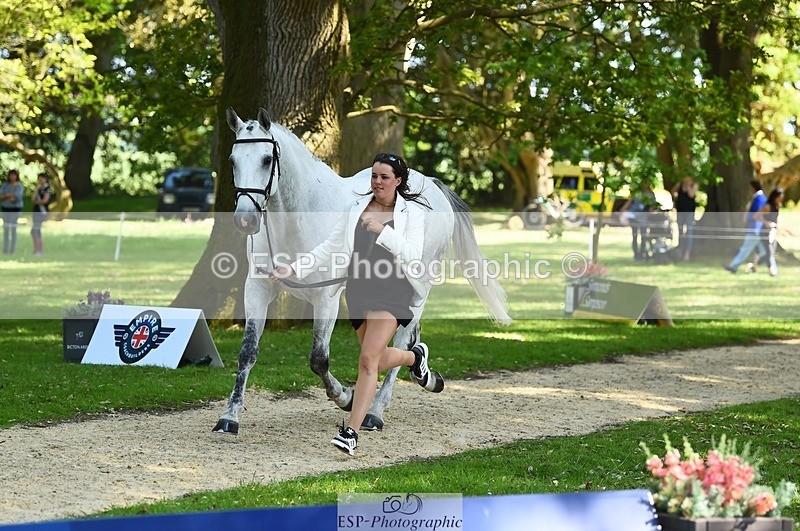 230524-161542-00799 - 261-COOLEY_NOW_OR_NEVER-Georgina_Herrling-WEDTrotUp+DR