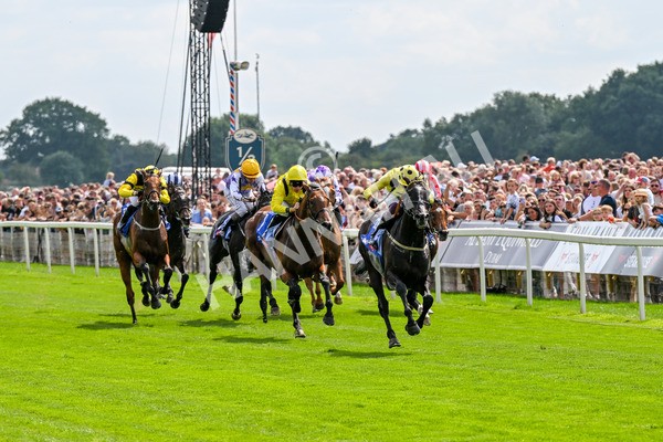 260725-Race 3-Royal Champion-0434 - Race 3 2.40pm Sky Bet York Stakes