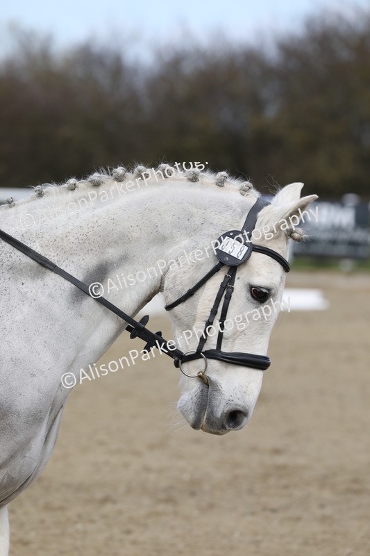 20260314-1978 - CT2 - Prelim 1