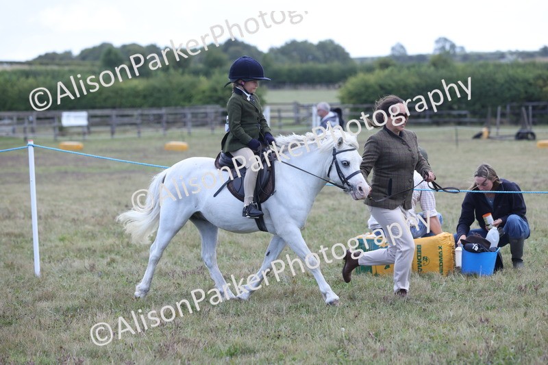 20250831-2383 - Class 16 - Family Pony