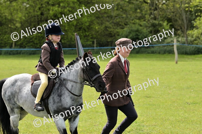 20260426-2302 - Class 20 - Beginner Working Hunter