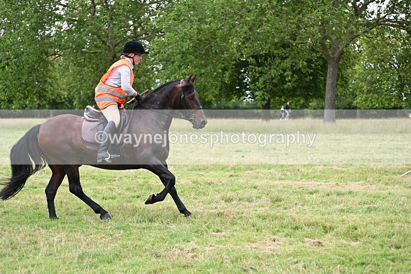 WJ6_5931 - Time at Jump 14:42 to 15:23
