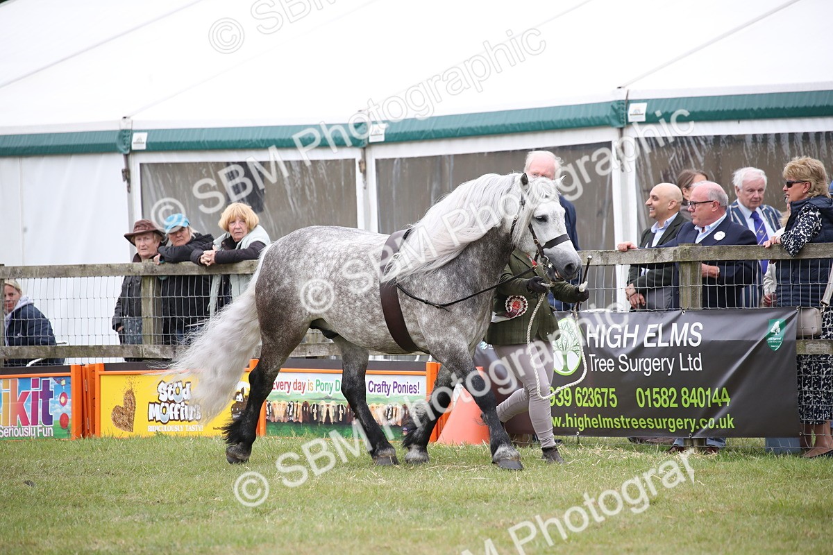 SBM_09733 - Ch 50 - Price Family Supreme In Hand