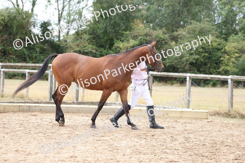 20260831-1885 - Class 5 - Retraining of Racehorses