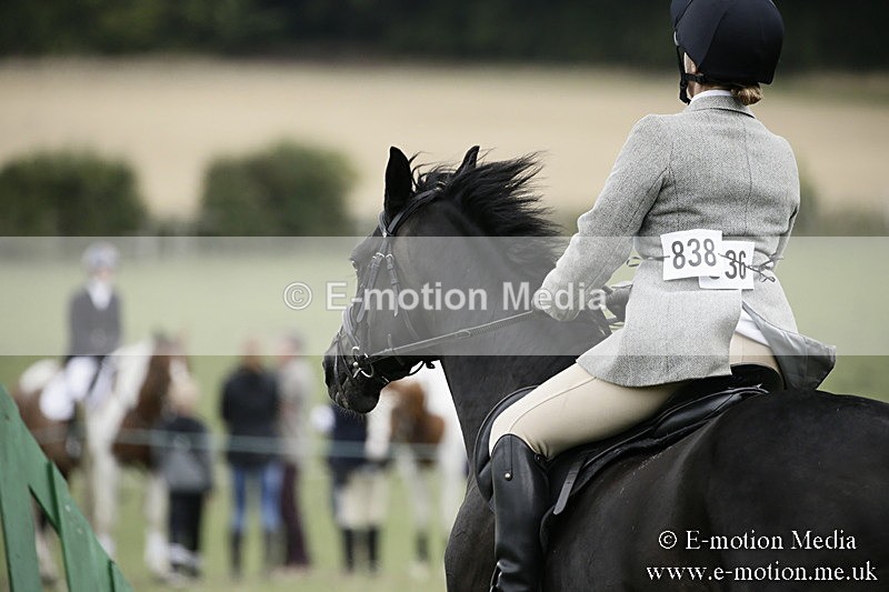 BVR090918 455 - BVRC Dressage and Show Jumping 09/09/18