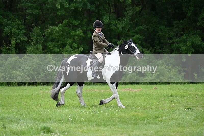 WJ7_2388 - Class 12A Coloured Class