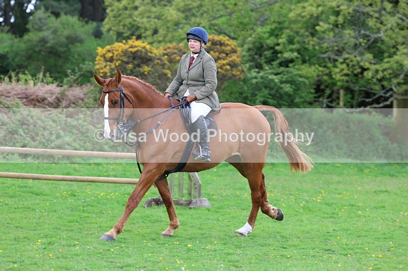 3E7A2589 - Classes 30 and 31: 80cm Working Hunter