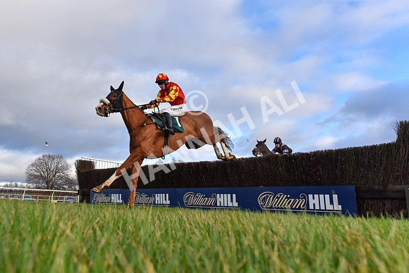 020224-Race 4-Treaty Boy-1217 - Race 4