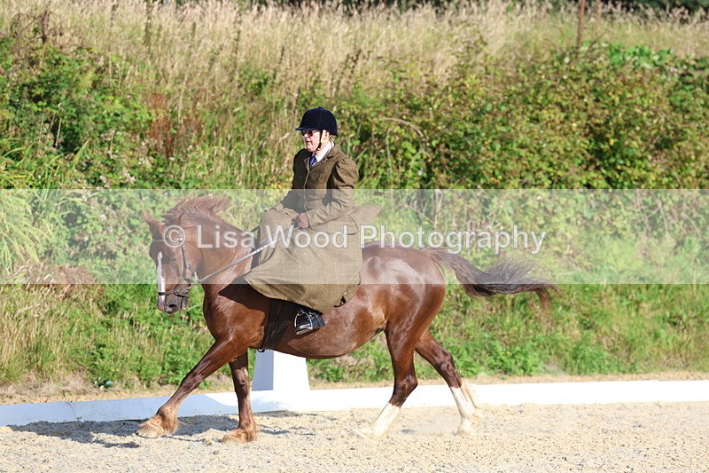 3E7A3841 - Class 3: Prelim 1 2024 Section A