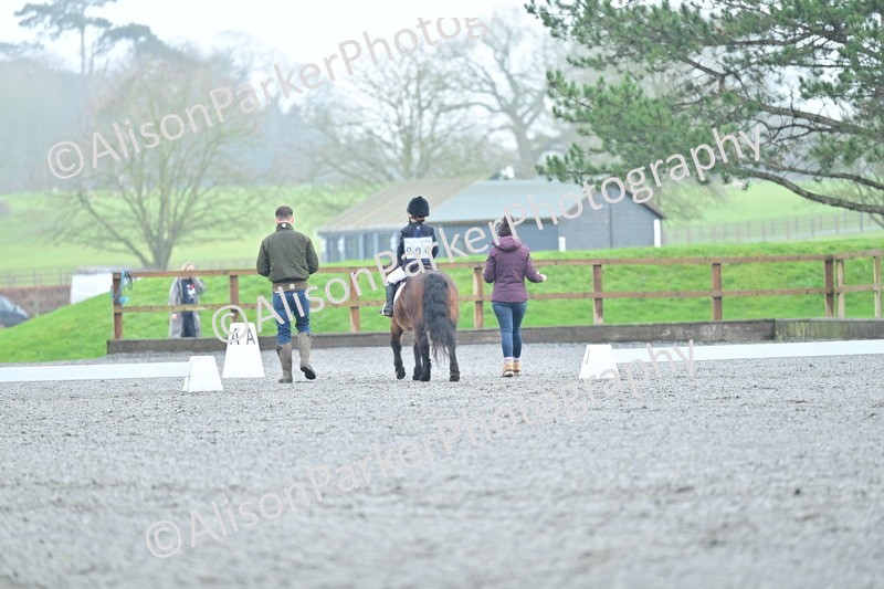 20260125-0883 - Class 9a - Walk Trot Assisted