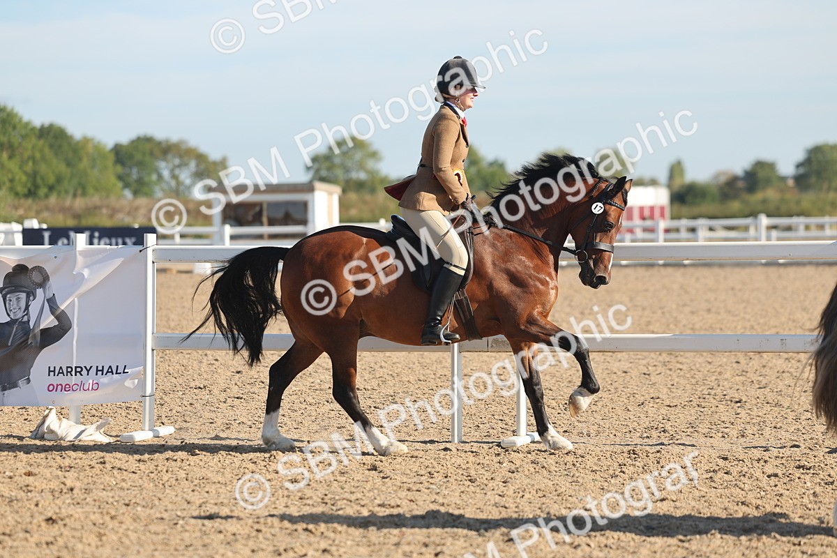 SBM_11151 - Class 302 - Ridden M&M Large Breeds