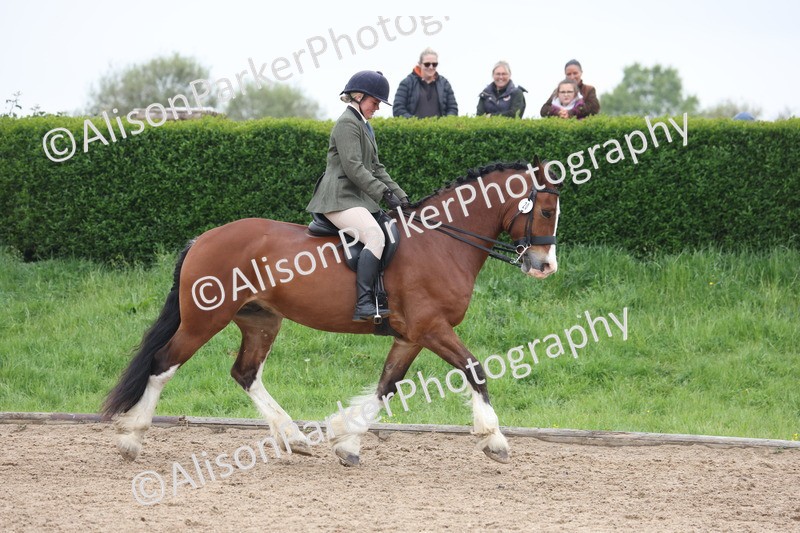 20260504-1089 - Class 14 - Cob and Hunter