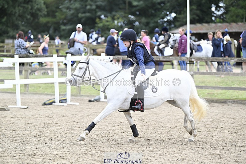 240822X-150403-11518 - 40cm A R2 15.00 to 16.16