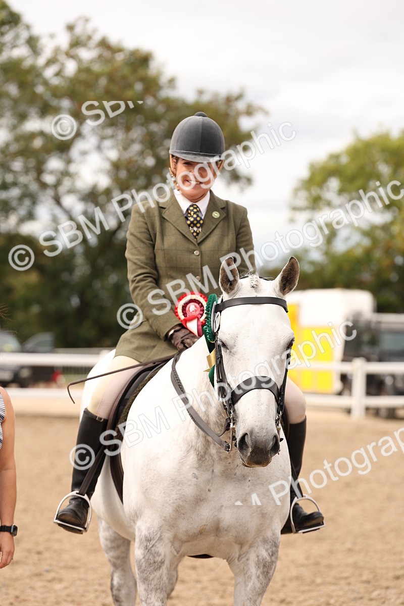 SBM_16528 - Class 212 - Ridden Hunter - Small