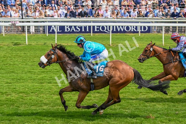 310525-Race 1-Ingleby Archie-8595 - Race 1 1.30pm William Hill Keep Your Raceday Positive Handicap