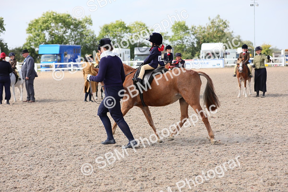 SBM_13998 - Class 309 Lead Rein Pony