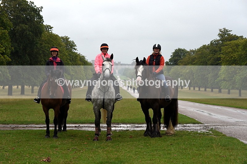 TT3_8054 - Time at Crossing 09:15 to 10:15