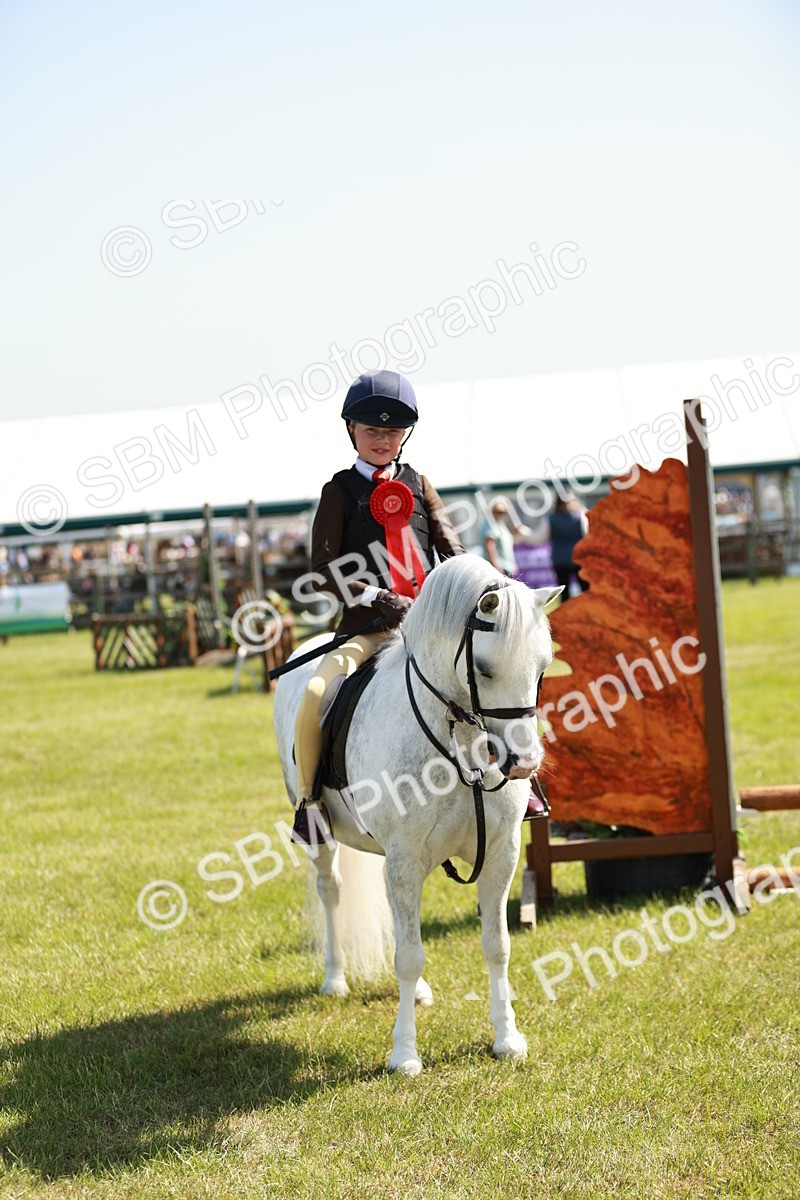 SBM_12791 - Class 106-107 - BSPS LIHS Working Sports Pony