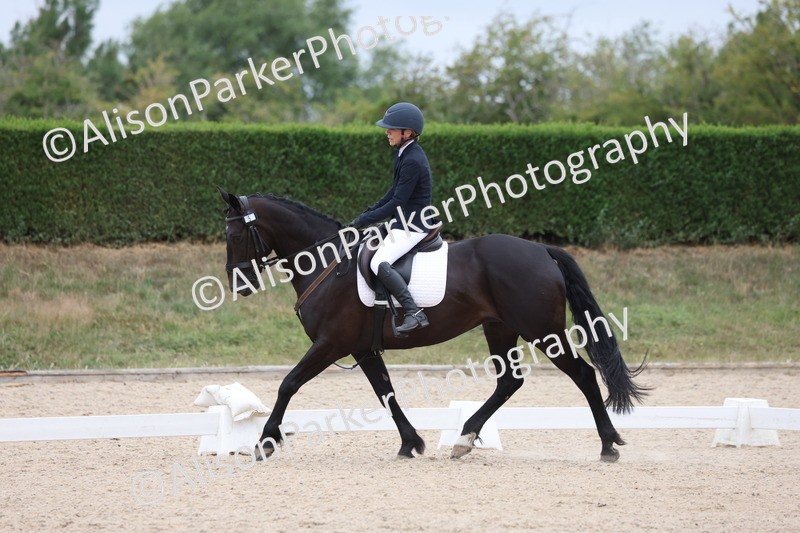 20250705-0528 - Class 6 - Novice 3