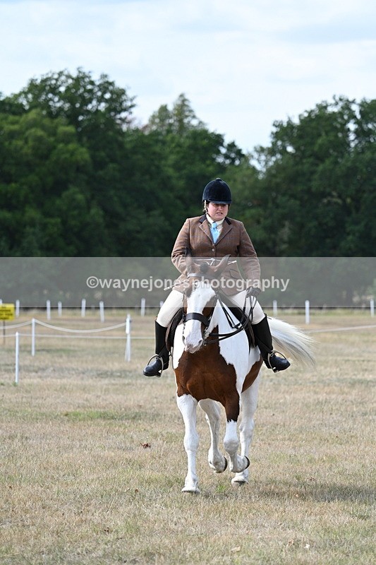 WJ7_7042 - Class 14 Ridden Coloured